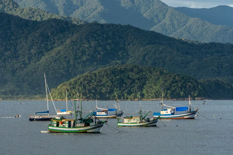 Pescadores: crédito será concedido em caráter emergencial (Ezequiel Ferreira / EyeEm/Getty Images)