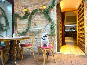 17 restaurantes pet friendly em São Paulo