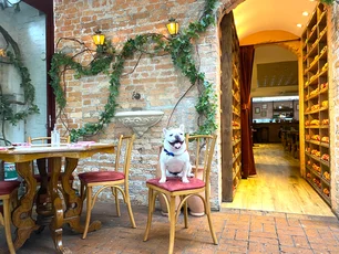 Imagem referente à matéria: 17 restaurantes pet friendly em São Paulo