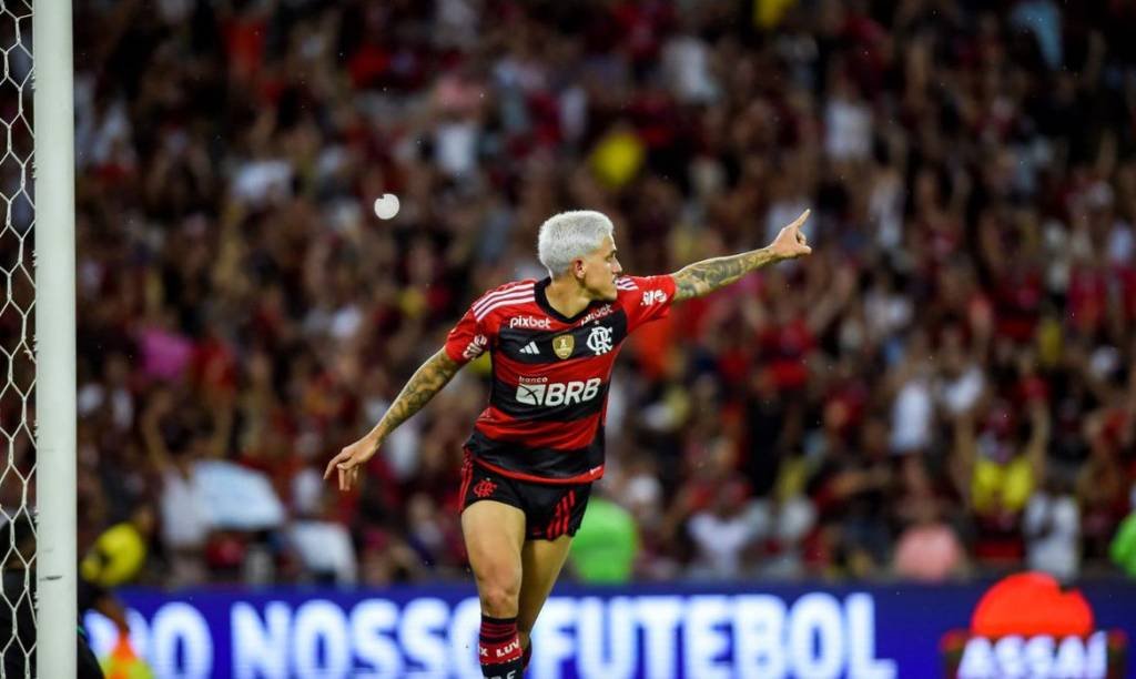 ASSISTIR FLAMENGO X ATLÉTICO-MG AO VIVO ONLINE GRÁTIS COM IMAGEM