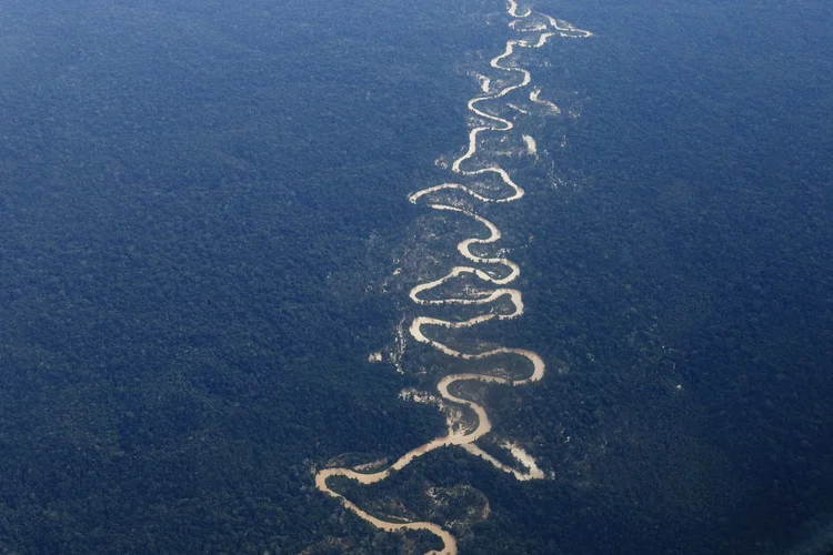 De autoria do senador Fabiano Contarato (PT-ES), o texto proíbe o comércio de ouro que tiver origem em terras indígenas e em unidades de conservação ambiental (Fernando Frazão/Agência Brasil)