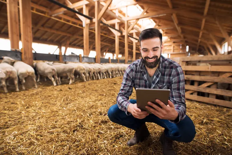 Em meio a tantas transformações, as empresas de agricultura estão buscando pessoas capazes de lidar com as demandas de diferentes stakeholders e liderá-las rumo a uma cultura de inovação corporativa (Freepik/Reprodução)