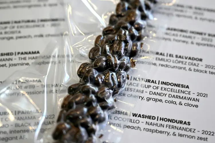 O café Proud Mary em Melbourne ofereceu xícaras de café de US$ 140 (R$ 730) feitas com grãos Black Jaguar do Panamá. (AFP/AFP)