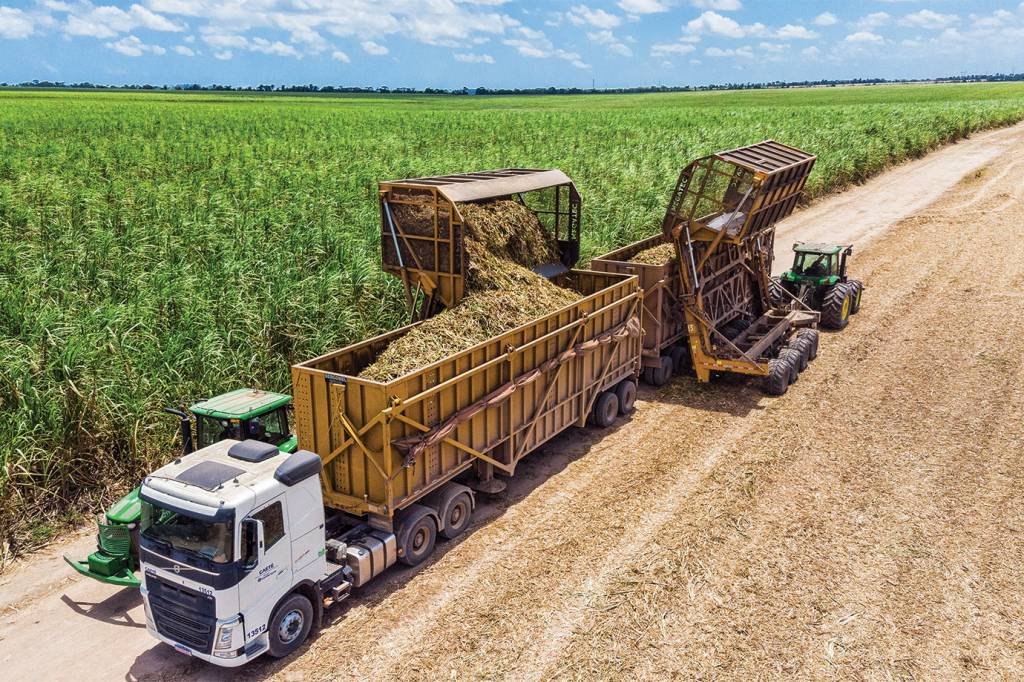 Blockchain aumenta em até 20% lucro na negociação de grãos produzidos no Brasil