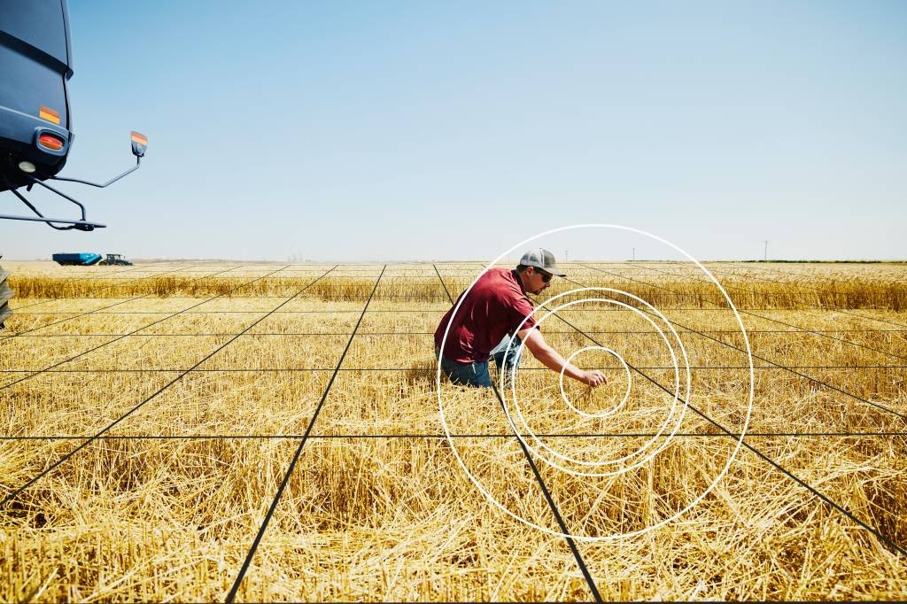 Aumentar produtividade é mais barato que expandir terras, diz head da Climate FieldView