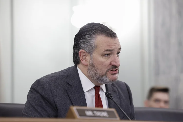 Ted Cruz: o senador também chamou o presidente Luiz Inácio Lula da Silva (PT) de "chavista" e o acusou de ser "alinhado contra os EUA" (Anna Moneymaker/Getty Images)