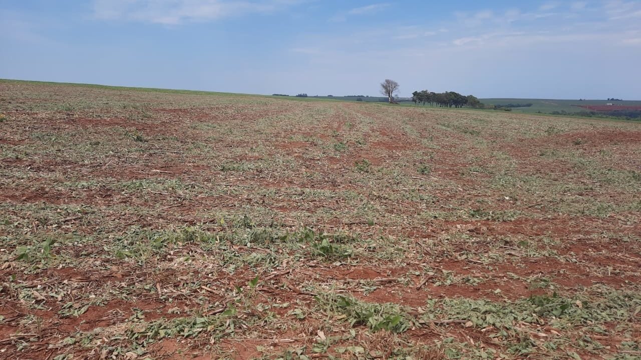 No Tocantins, El Niño prejudica agropecuária e leva municípios à situação de emergência