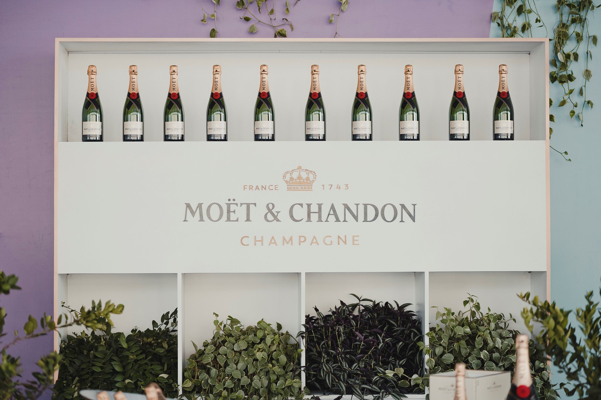 moet