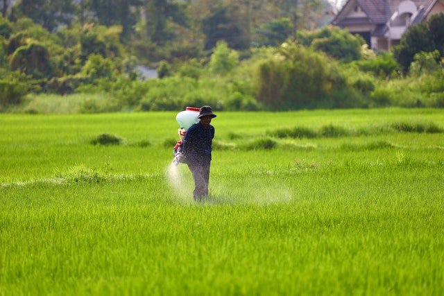 Safras recordes puxam vendas de fertilizante a nível pré-guerra