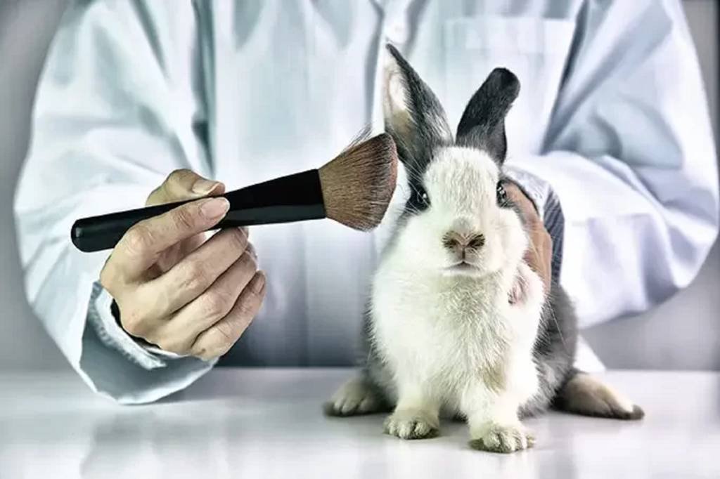 Governo proíbe uso de animais em pesquisa científica e desenvolvimento de cosméticos