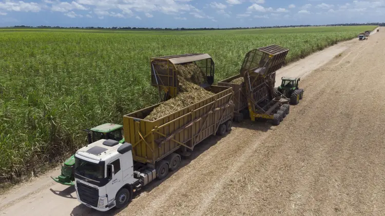 Caminhão e transbordo operando na colheita da cana-de-açúcar (Divulgação/Solinftec/Divulgação)