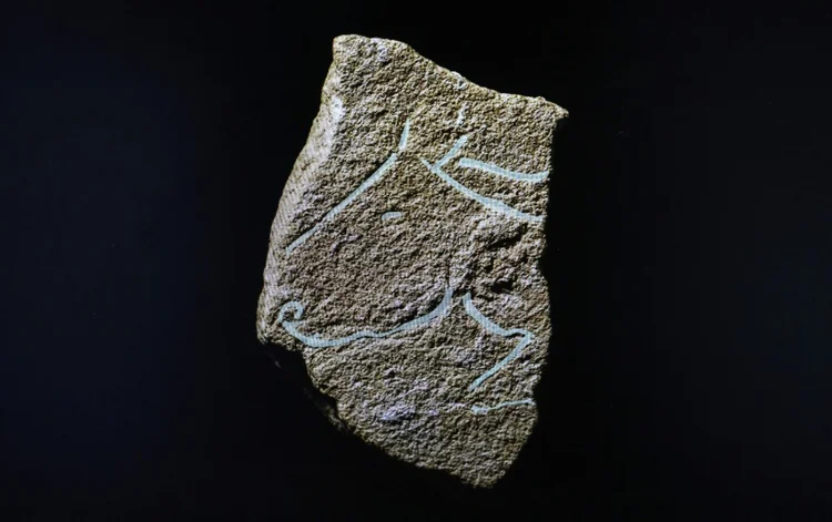 Gravura do perfil de um cavalo: datada do início do período magdalenense, em foto feita em 30 de março de 2023 durante a apresentação das descobertas em Bellegarde, no sul da França (© Agence France-Presse/AFP)