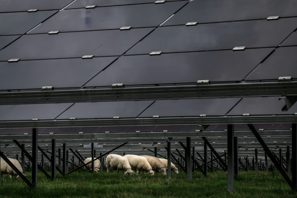 A implantação de energias renováveis será considerada de "interesse público superior", o que limita os fundamentos de objeções legais às instalações. (AFP/AFP Photo)