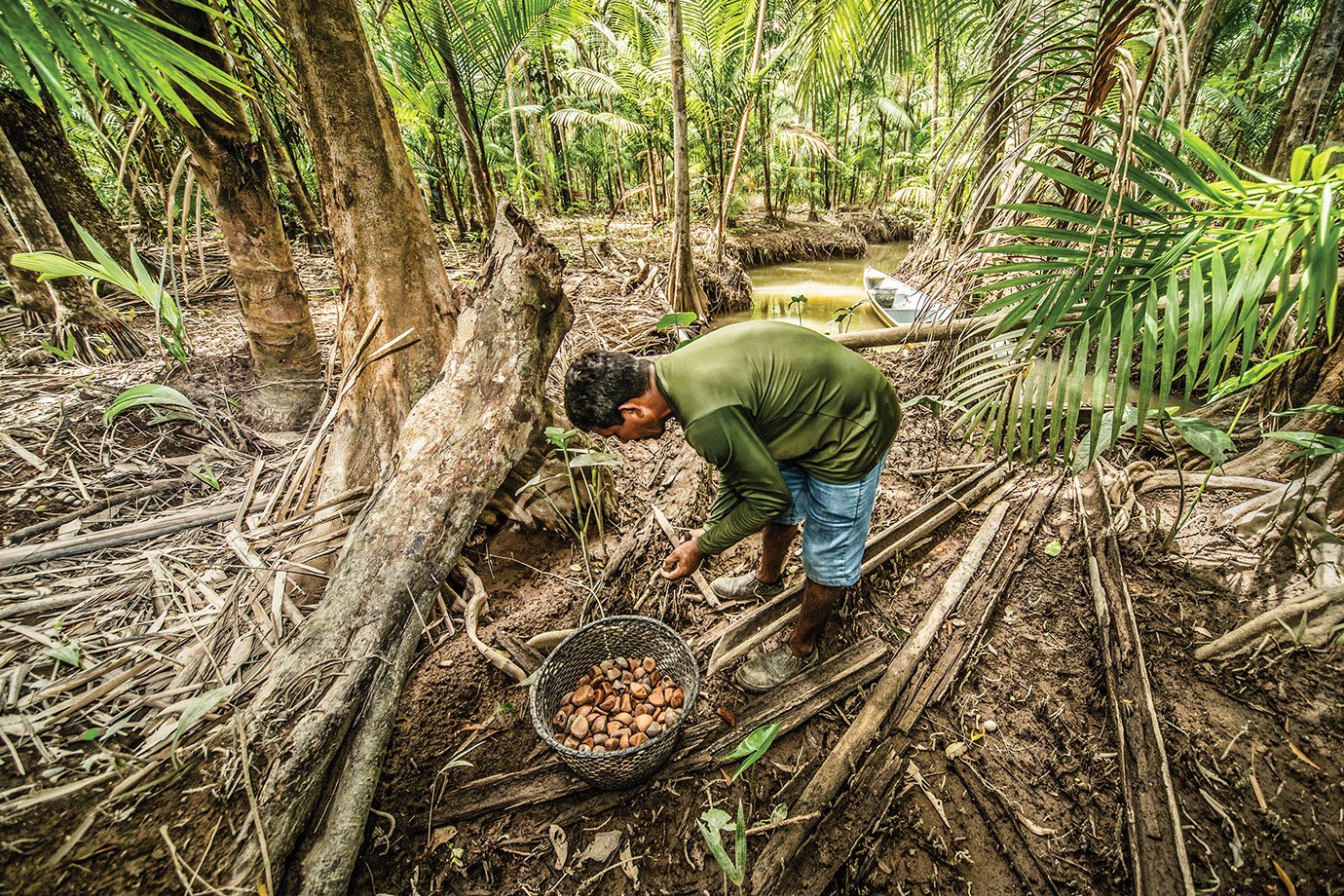 Gerar progresso social é a melhor forma para o município da Amazônia atrair investimentos