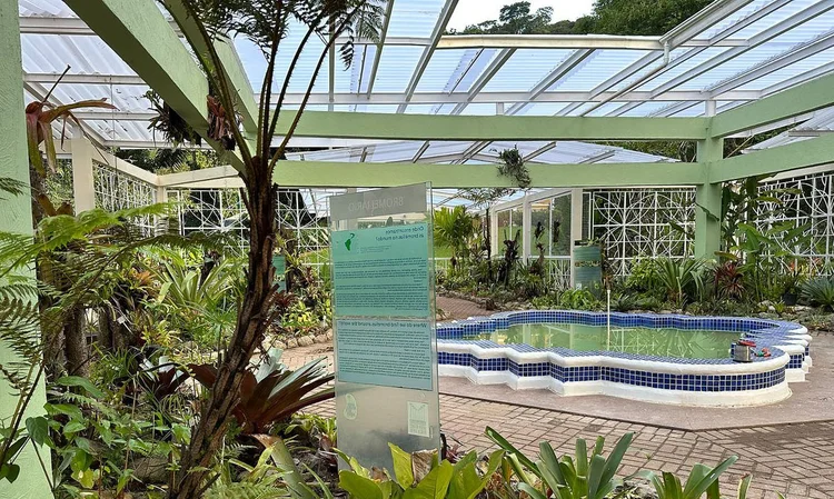 Jardim Botânico do Rio de Janeiro. (Federico Rossi/Divulgação)