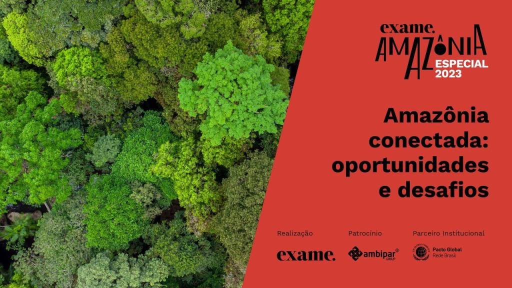 Amazônia conectada: Oportunidades e desafios