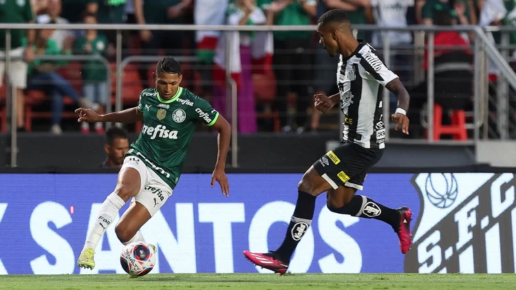 Santos x Palmeiras: em 307 jogos, o Verdão venceu 134 contra 95 do Peixe (Cesar Greco/Palmeiras/Flickr)