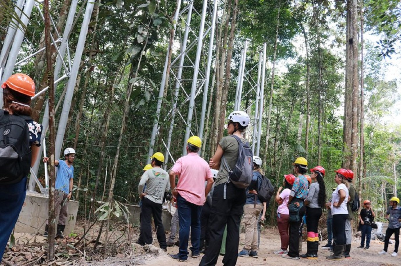 Laboratório a céu aberto na Amazônia ganha R$ 12,3 milhões do Reino Unido