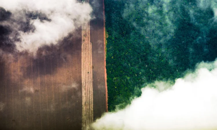 Segundo a publicação, o incremento do desmatamento poderia levar a floresta a um ponto onde não seria mais possível reverter seus efeitos nocivos (Marcelo Camargo/Agência Brasil)