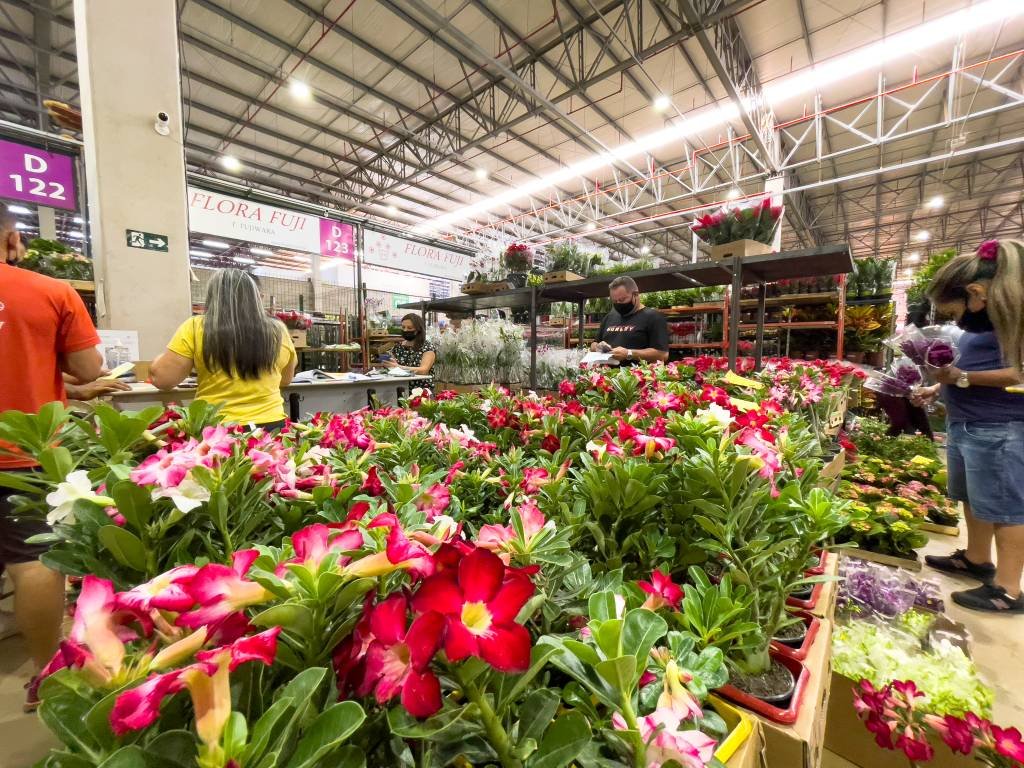 Dia das Mães: Cooperativa Veiling Holambra espera vender 22 milhões de flores