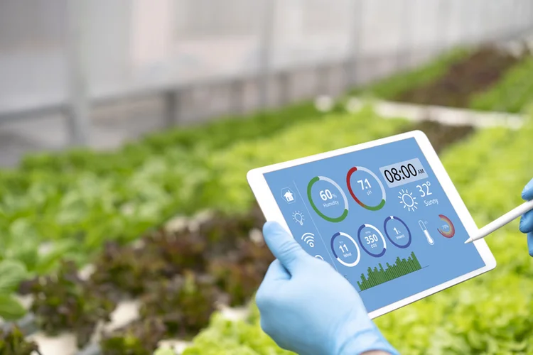 Iot smart industry robot 4.0 agriculture concept,industrial agronomist,farmer using tablet to monitor, control the condition in vertical or indoor farm ,the data including Ph, Temp, Ic, humidity, co2 (Witthaya Prasongsin/Getty Images)