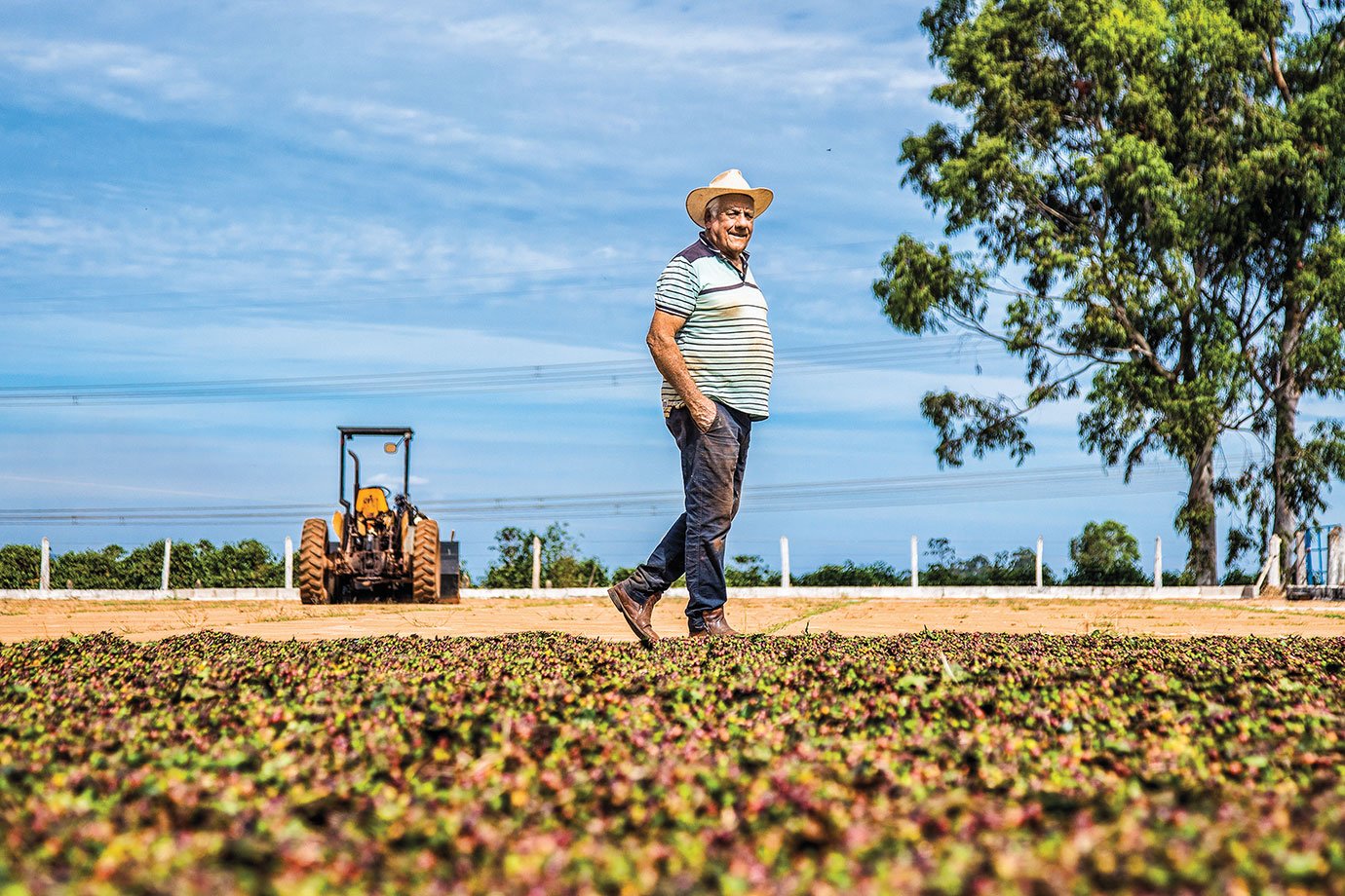 Exclusivo: Bradesco e Coopercitrus preveem R$ 500 milhões de crédito a produtores em seis meses