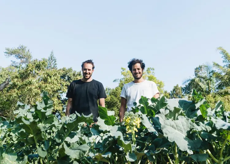 Stefan Weitbrecht e Victor Collor, do Cozinha 212: ingredientes do Mato 212, a horta do restaurante (Cozinha 212/Divulgação)