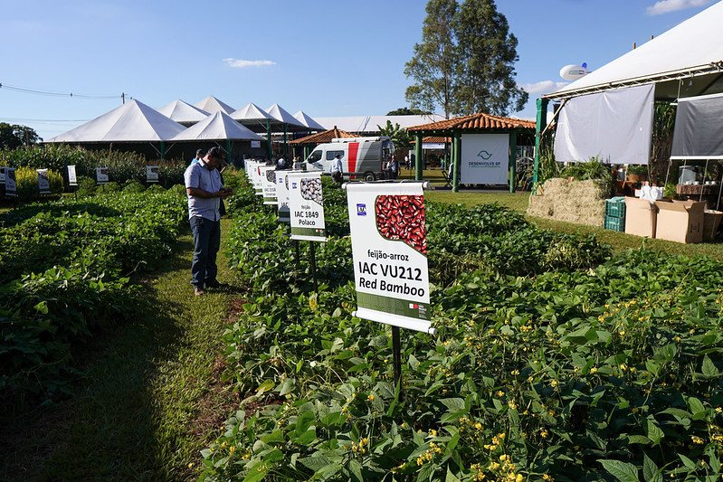 Agroindústria de SP terá R$ 200 milhões em linhas de financiamento, diz governo