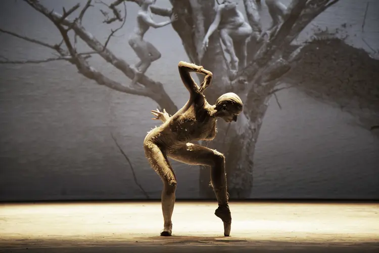 "Cão Sem Plumas" da Cia de Dança Deborah Colker em cartaz no Teatro Sérgio Cardoso, um dos equipamentos administrados pela Amigos da Arte (Amigos da Arte/Divulgação)