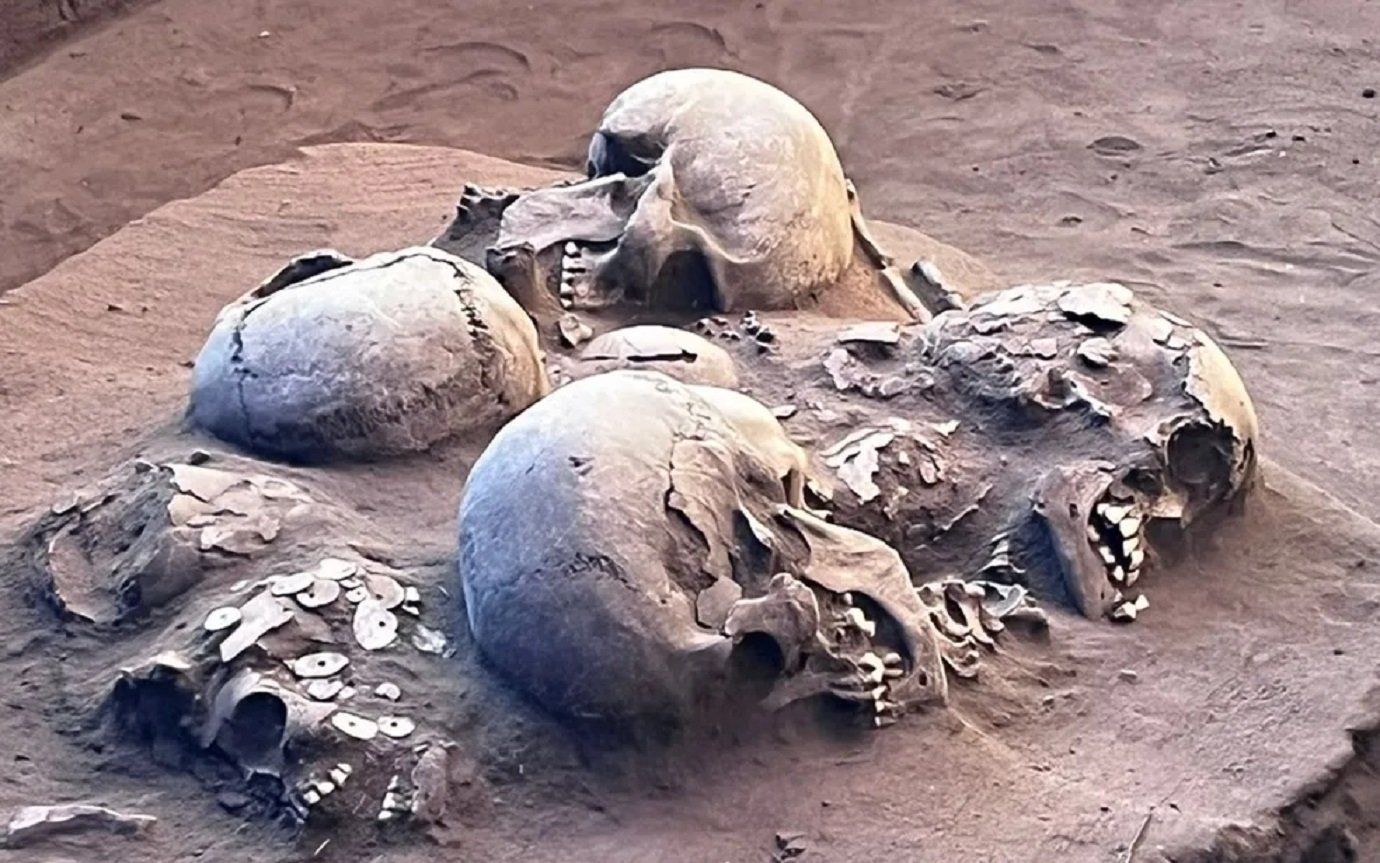cranios-iphan Material foi encontrado em sítio de arquelógico de Serranópolis