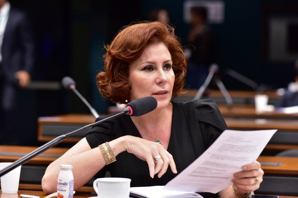 Carla Zambelli: deputada é multada em R$ 30 mil pelo TSE por divulgar informações falsas sobre urnas eletrônicas (Zeca Ribeiro/Agência Câmara)