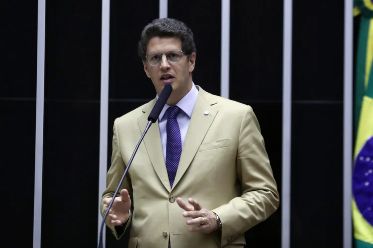 Ricardo Salles assume a relatoria da CPI (Bruno Spada/Agência Câmara)