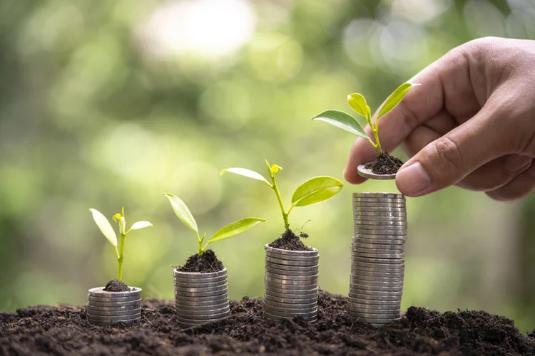 Money growing (Getty/Getty Images)