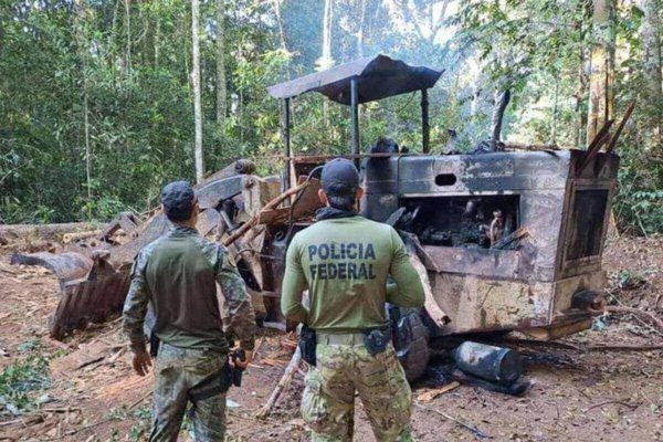 Operação Oraculum: PF e Ibama combatem extração ilegal de diamantes e madeiras de terras indígenas