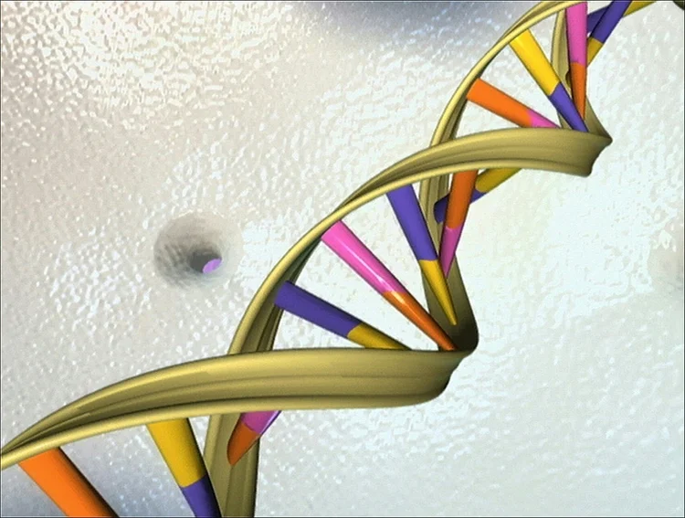 O primeiro "pangenoma" humano, que abrange a mais ampla gama de genes e abre a porta ao tratamento de doenças raras, foi publicado por um grupo de cientistas (Daniel Lawler/AFP Photo)