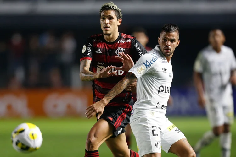 O confronto entre Santos e Flamengo será de portões fechados (Gilvan de Souza/Flamengo/Flickr)