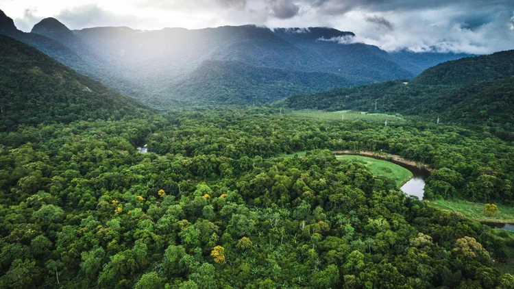 Mata Atlântica: o objetivo é que até agosto todos os planejamentos sejam publicados (Bússola/Divulgação)