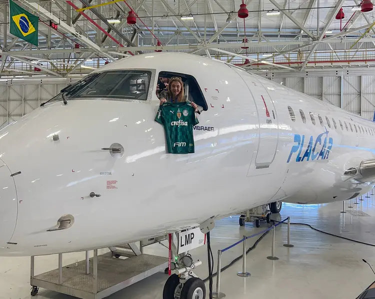 Veja o avião do Palmeiras (Palmeiras/Twitter/Reprodução)