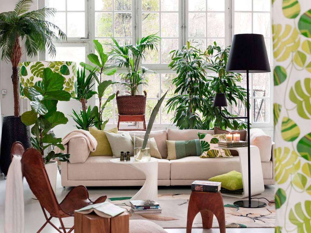 Como decorar a casa com plantas? Veja dicas para deixar o ambiente mais aconchegante