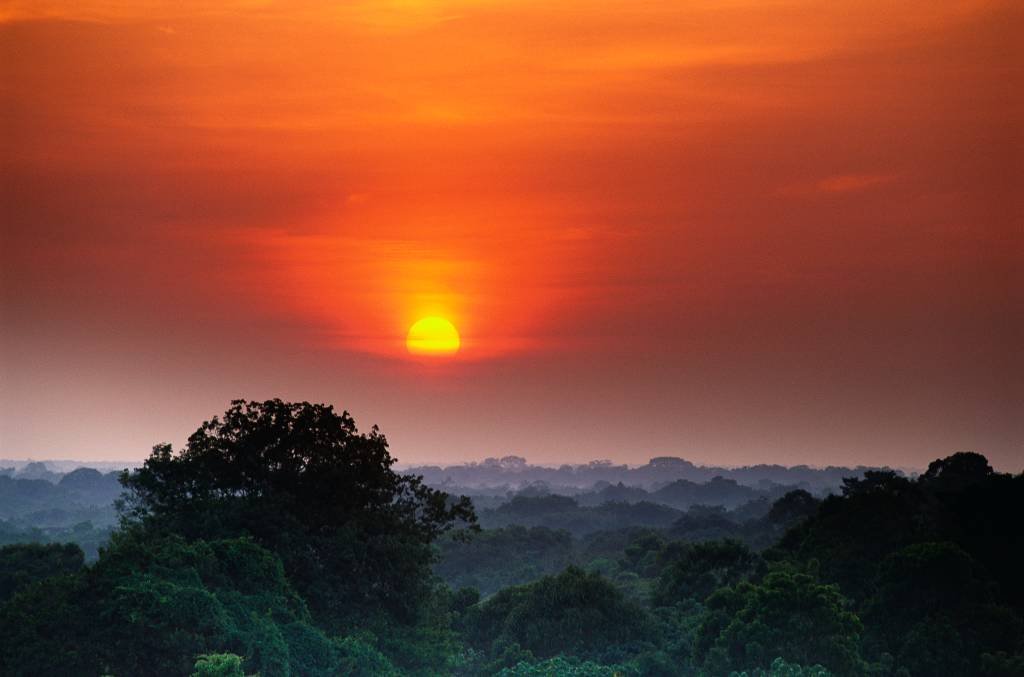 Desmatamento na Amazônia: o Deter identificou 812,32 km² de área desmatada em maio de 2023 (Getty Images/Reprodução)
