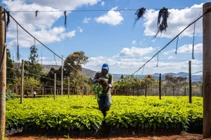Tarifaço pode tirar quase US$ 6 bilhões do agro brasileiro, estima CNA