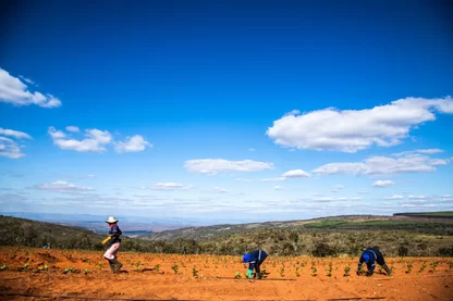 Imagem referente à reportagem especial Seguro rural: áreas cobertas caem 52% – e crise climática pressiona a indústria e os produtores