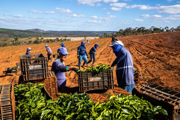 O texto foi acordado entre a base governista e a Frente Parlamentar da Agropecuária (FPA) (Leandro Fonseca/Exame)