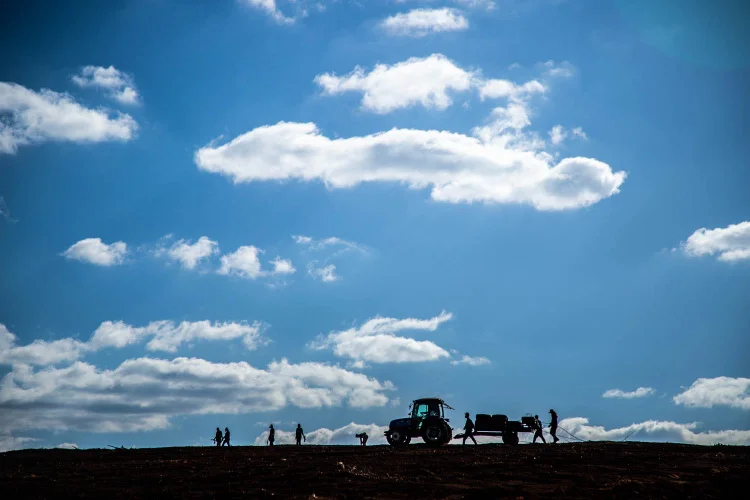 Fazenda de Café do Grupo Cedro em Minas Gerais - agricultor - agricultura - agronegocios - agro - lavoura - maquinas - plantação - 

Foto: Leandro Fonseca
data: 20/06/2023