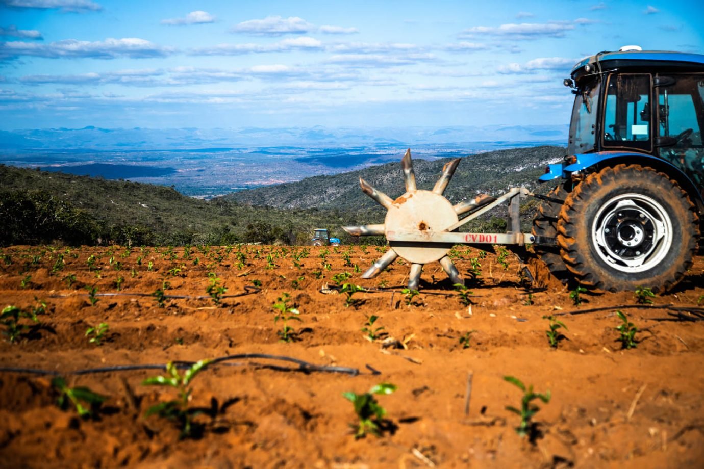 BNDES aprova linha de financiamento a cooperativas agropecuárias; saiba como funciona