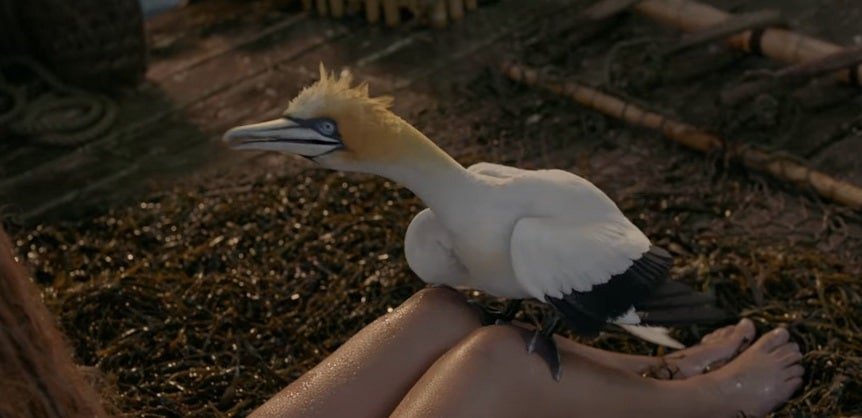 Sabidao-A-Pequena-Sereia