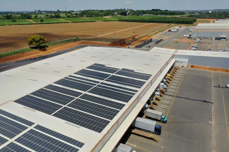 Cooperativa Veilling Holambra possui quatro usinas fotovoltaicas, somando mais
de 3 mil painéis solares (Veilling Holambra/Divulgação)