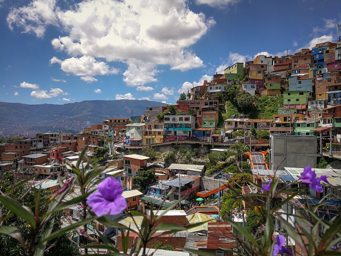 Corredores verdes: uma solução ambiental para o calor nas grandes cidades