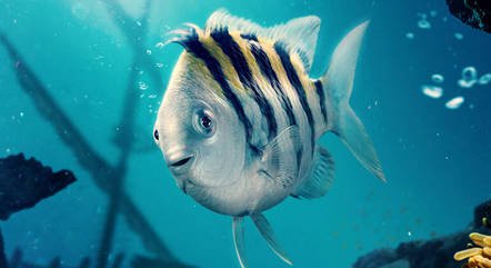 linguado-no-live-action-de-a-pequena-sereia-26042023141220718