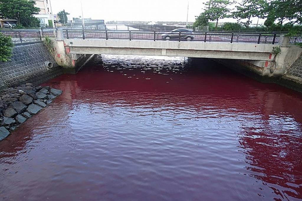 Vazamento em fábrica de cerveja deixa baía japonesa vermelha